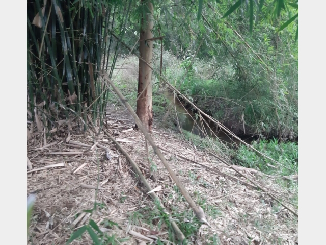 Venda de Fazenda/Sítio no São Sebastião - União da Vitória - Paraná-PR - Digital Imóveis