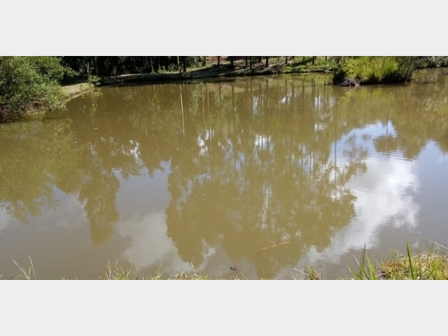 Venda de Fazenda/Sítio no Colônia Rio Vermelho - União da Vitória - Paraná-PR - Digital Imóveis