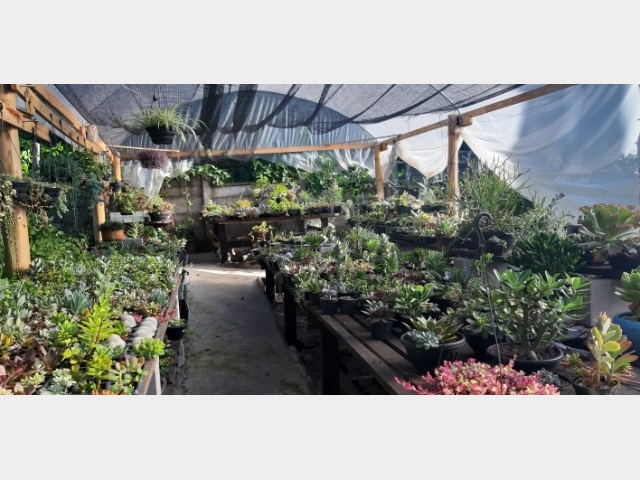 Venda de Casa no Cidade Nova - Porto União - Santa Catarina-SC - Digital Imóveis