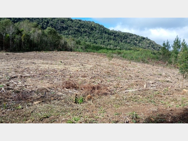 Venda de Fazenda/Sítio no Colônia Rio Vermelho - União da Vitória - Paraná-PR - Digital Imóveis