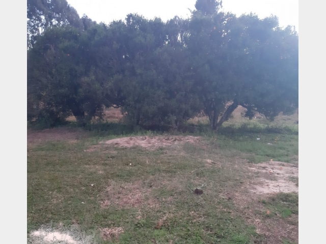 Venda de Fazenda/Sítio no São Sebastião - União da Vitória - Paraná-PR - Digital Imóveis