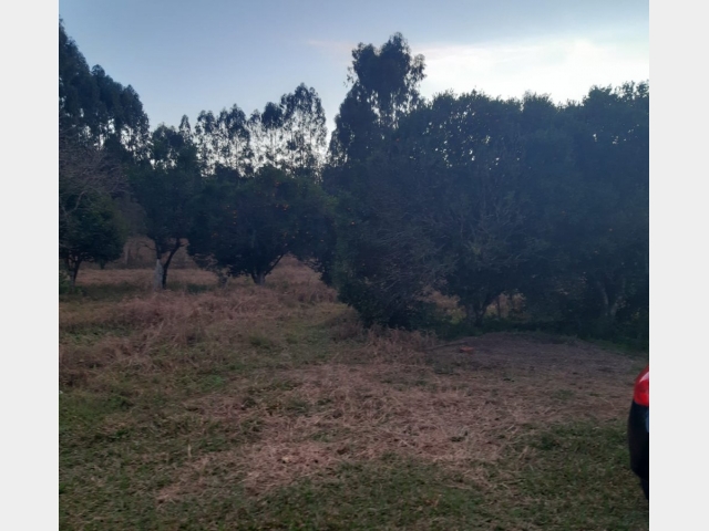 Venda de Fazenda/Sítio no São Sebastião - União da Vitória - Paraná-PR - Digital Imóveis