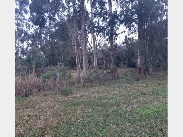 Venda de Fazenda/Sítio no São Sebastião - União da Vitória - Paraná-PR - Digital Imóveis