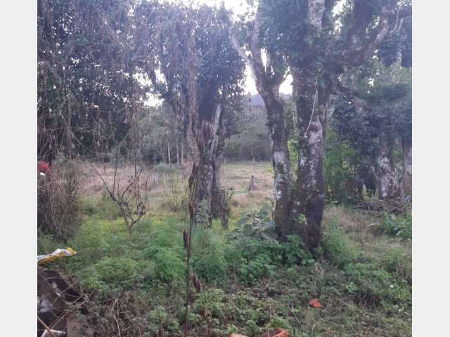 Venda de Fazenda/Sítio no São Sebastião - União da Vitória - Paraná-PR - Digital Imóveis