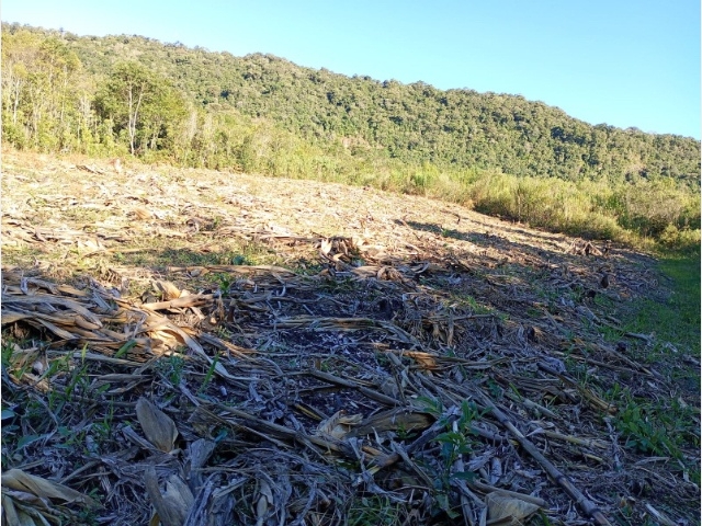 Venda de Fazenda/Sítio no Colônia Rio Vermelho - União da Vitória - Paraná-PR - Digital Imóveis