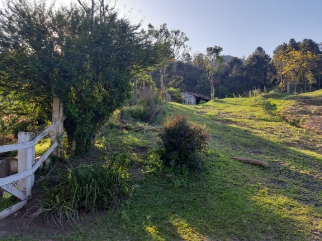 Venda de Fazenda/Sítio no Bela Vista - Porto União - Santa Catarina-SC - Digital Imóveis