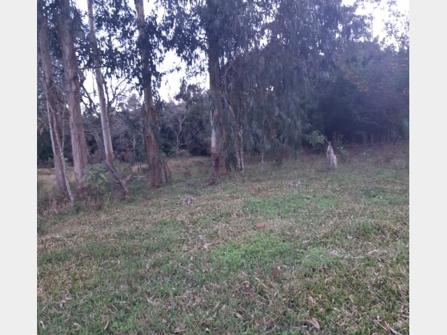 Venda de Fazenda/Sítio no São Sebastião - União da Vitória - Paraná-PR - Digital Imóveis