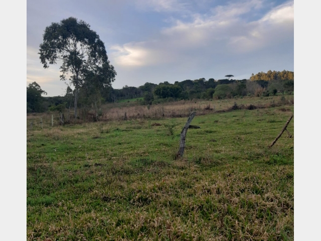 Venda de Fazenda/Sítio no São Sebastião - União da Vitória - Paraná-PR - Digital Imóveis