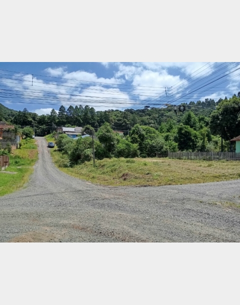 Katia Bortolon Imóveis - Digital Imóveis