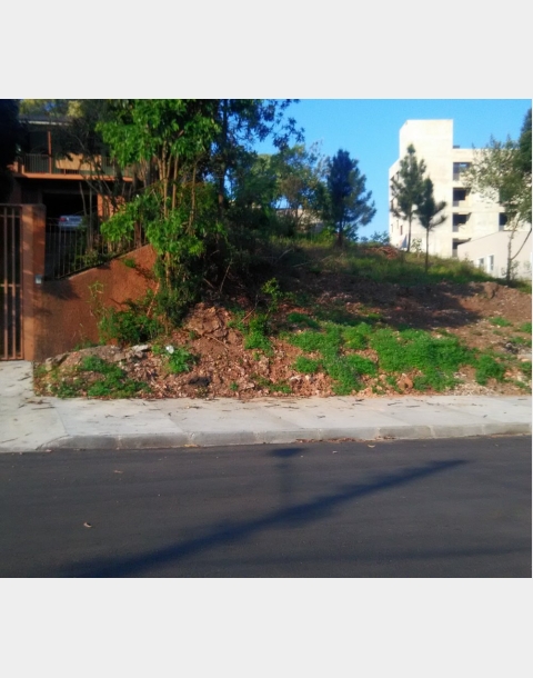 Imobiliária Solinvest SoloPlus - Digital Imóveis