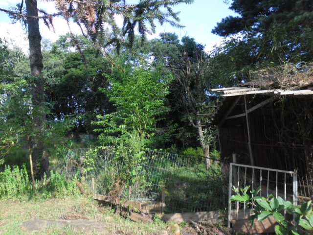 Venda de Fazenda/Sítio no Bela Vista - Porto União - Santa Catarina-SC - Digital Imóveis Venda de Fazenda/Sítio no Bela Vista - Porto União - Santa Catarina-SC - Digital Imóveis