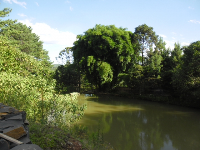 Venda de Fazenda/Sítio no Bela Vista - Porto União - Santa Catarina-SC - Digital Imóveis Venda de Fazenda/Sítio no Bela Vista - Porto União - Santa Catarina-SC - Digital Imóveis