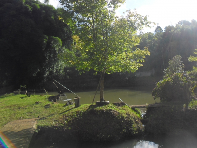 Venda de Fazenda/Sítio no Bela Vista - Porto União - Santa Catarina-SC - Digital Imóveis Venda de Fazenda/Sítio no Bela Vista - Porto União - Santa Catarina-SC - Digital Imóveis