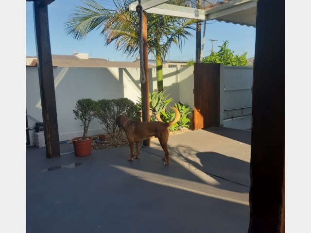 Venda de Casa no São Bernardo - União da Vitória - Paraná-PR - Digital Imóveis Venda de Casa no São Bernardo - União da Vitória - Paraná-PR - Digital Imóveis