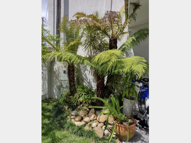 Venda de Casa no São Bernardo - União da Vitória - Paraná-PR - Digital Imóveis Venda de Casa no São Bernardo - União da Vitória - Paraná-PR - Digital Imóveis