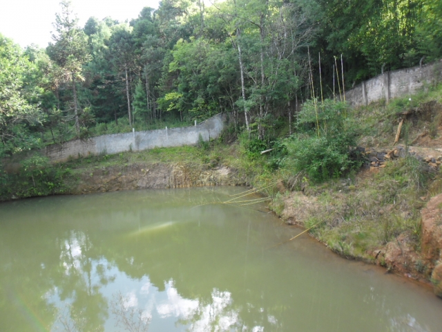 Venda de Fazenda/Sítio no Bela Vista - Porto União - Santa Catarina-SC - Digital Imóveis Venda de Fazenda/Sítio no Bela Vista - Porto União - Santa Catarina-SC - Digital Imóveis