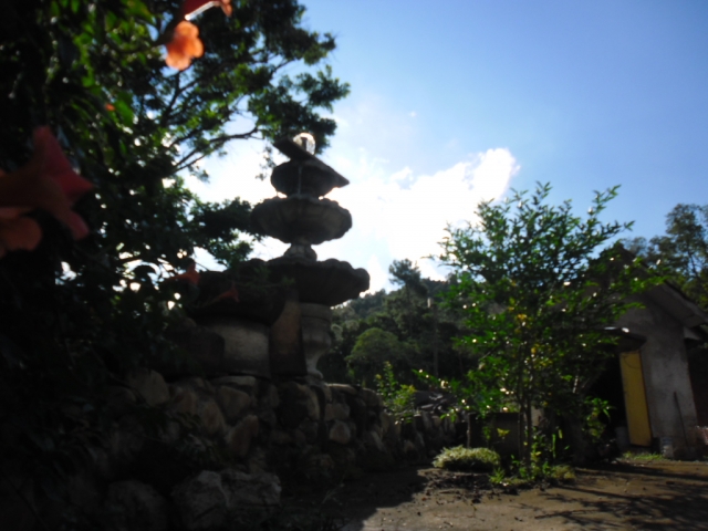 Venda de Fazenda/Sítio no Bela Vista - Porto União - Santa Catarina-SC - Digital Imóveis Venda de Fazenda/Sítio no Bela Vista - Porto União - Santa Catarina-SC - Digital Imóveis