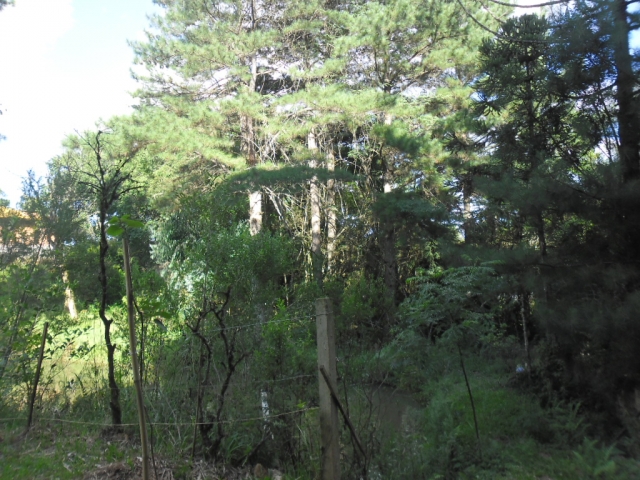 Venda de Fazenda/Sítio no Bela Vista - Porto União - Santa Catarina-SC - Digital Imóveis Venda de Fazenda/Sítio no Bela Vista - Porto União - Santa Catarina-SC - Digital Imóveis