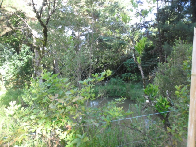 Venda de Fazenda/Sítio no Bela Vista - Porto União - Santa Catarina-SC - Digital Imóveis Venda de Fazenda/Sítio no Bela Vista - Porto União - Santa Catarina-SC - Digital Imóveis