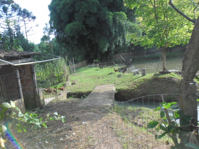 Venda de Fazenda/Sítio no Bela Vista - Porto União - Santa Catarina-SC - Digital Imóveis Venda de Fazenda/Sítio no Bela Vista - Porto União - Santa Catarina-SC - Digital Imóveis