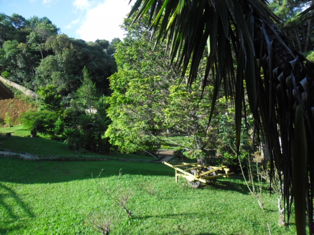 Venda de Fazenda/Sítio no Bela Vista - Porto União - Santa Catarina-SC - Digital Imóveis Venda de Fazenda/Sítio no Bela Vista - Porto União - Santa Catarina-SC - Digital Imóveis