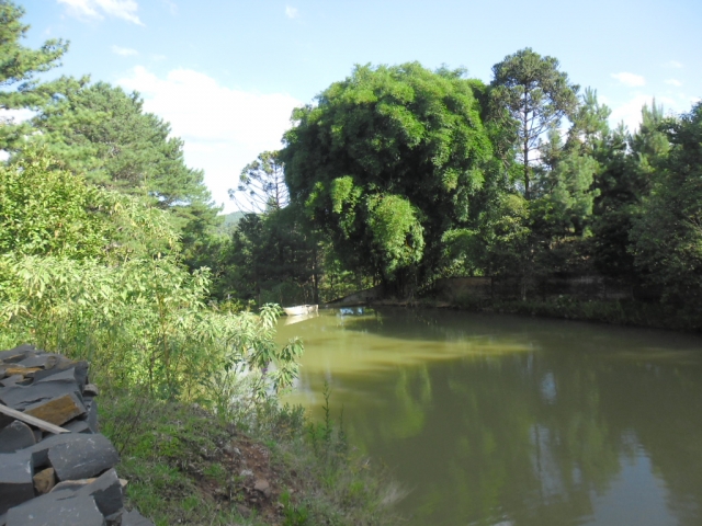 Venda de Fazenda/Sítio no Bela Vista - Porto União - Santa Catarina-SC - Digital Imóveis Venda de Fazenda/Sítio no Bela Vista - Porto União - Santa Catarina-SC - Digital Imóveis