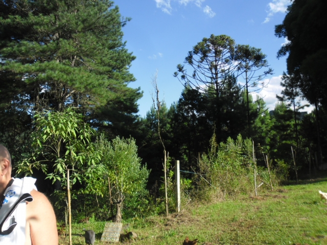 Venda de Fazenda/Sítio no Bela Vista - Porto União - Santa Catarina-SC - Digital Imóveis Venda de Fazenda/Sítio no Bela Vista - Porto União - Santa Catarina-SC - Digital Imóveis